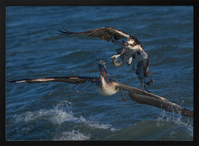 Robbery on the Ocean Poster