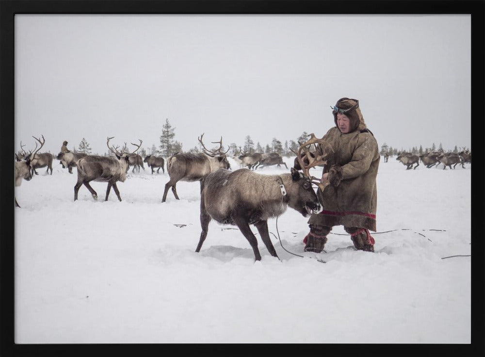 Jigori hunts reindeer III Poster