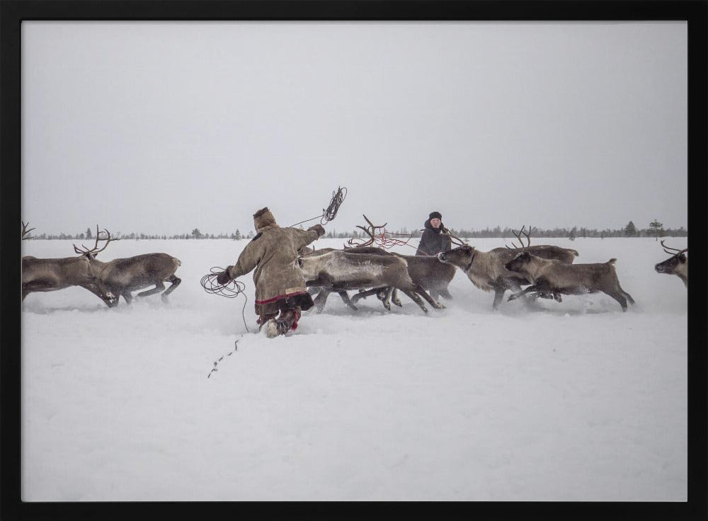 Jigori hunts reindeer I Poster