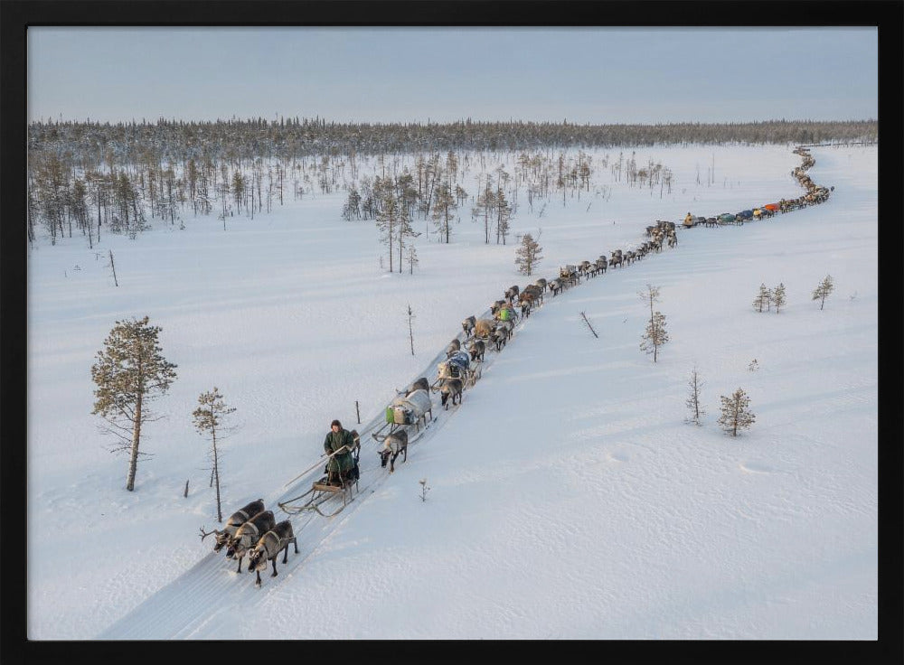 Nenets caravan on the move I Poster