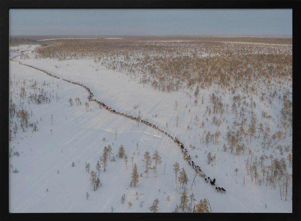 Nenets caravan on the move II Poster