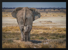 BabyElephant Poster