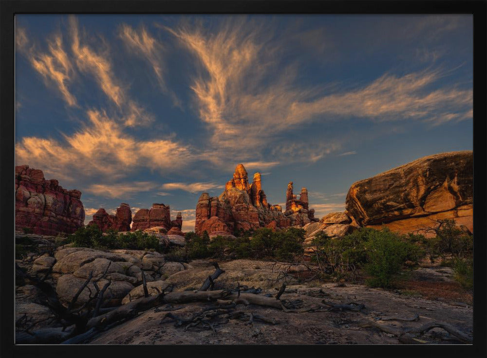 Needles in the Light Poster