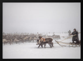 Arkadij and Kolja riding the herd Poster