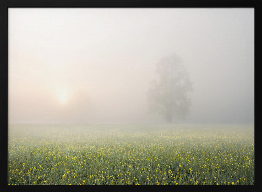 Spring Decoration Poster