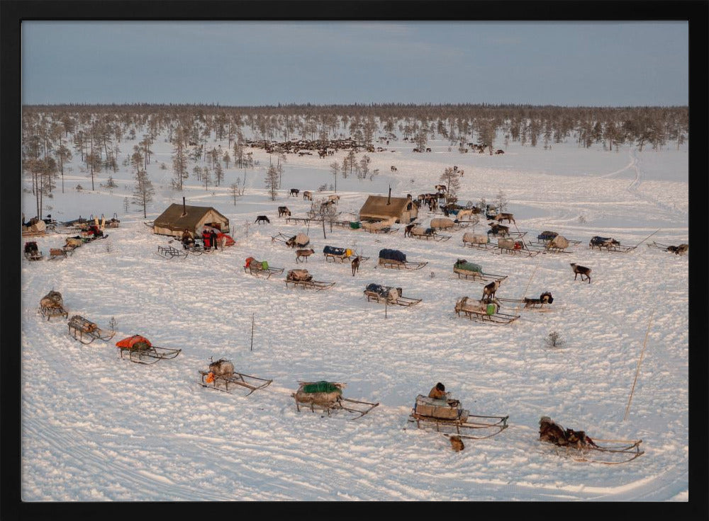 Morning in Nenets camp Poster