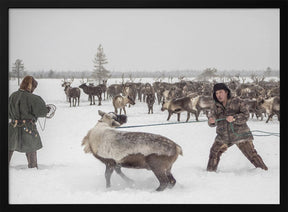 Kolya catches reindeer Poster