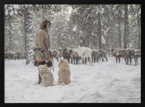 Jigorij, dogs and the herd Poster