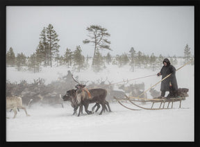 Arkadij and Kostya are riding the herd Poster