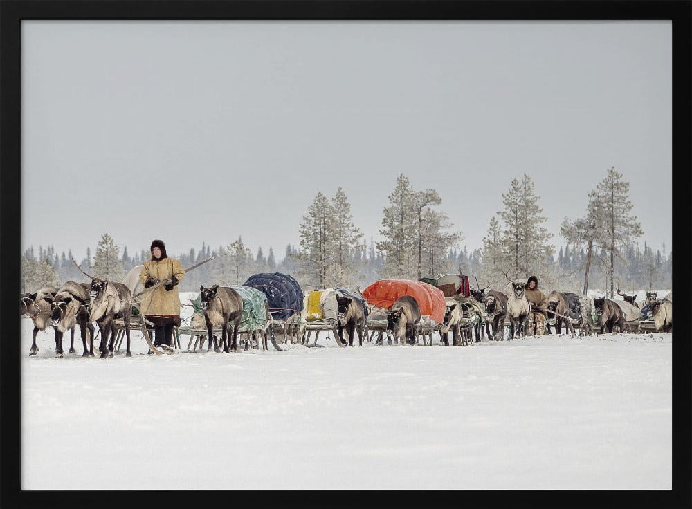 Women from the 8th Brigade on their way to the new camp Poster