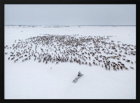 Kostya gathers the herd Poster