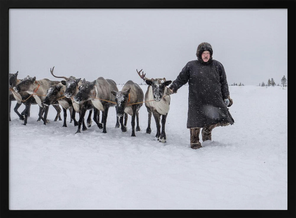 Arkadij and his reindeers Poster