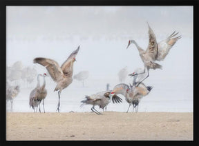 Dancing in The Foggy Morning Poster