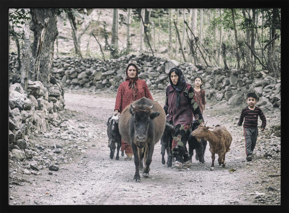 Tajik women and livestock on the way from pastures Poster