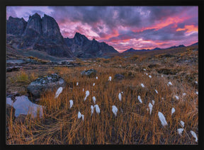 Fall Color in the Mountain Poster