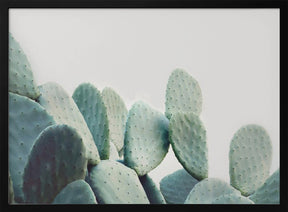 Pastel Cactus Poster