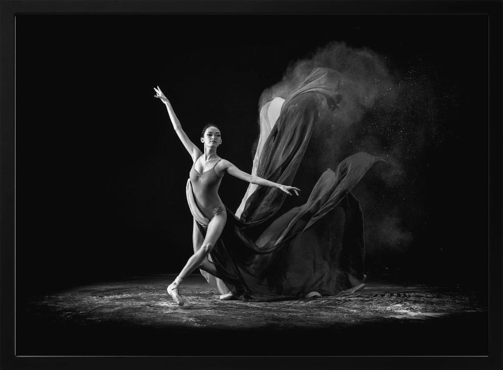 Step of Balerina Poster