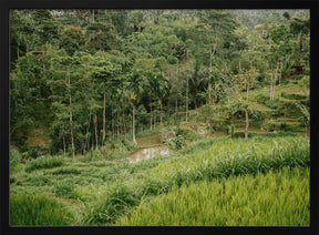 Tetebatu Lombok Poster