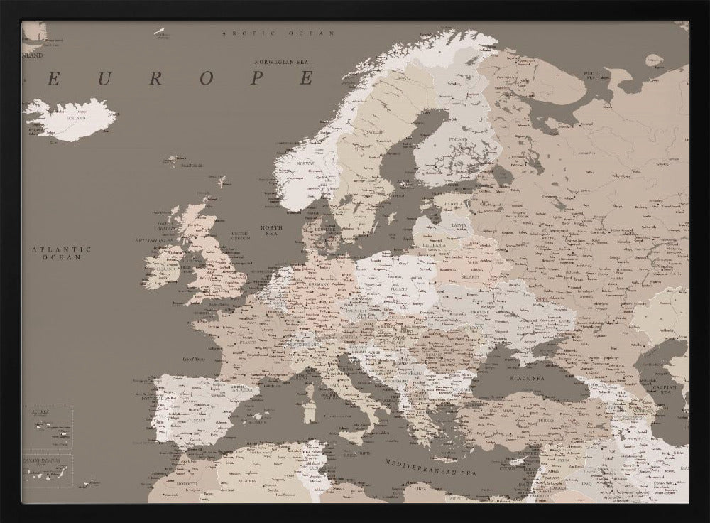 Earth tones detailed map of Europe Poster