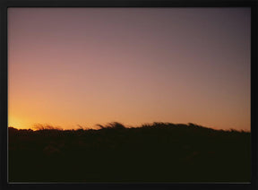 Dune Grass Sunset Horizontal Poster