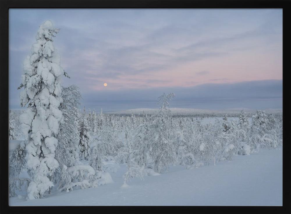 Winter Wonderland Poster