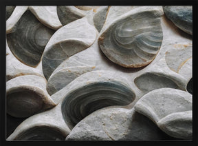 Sea Shells Detail No 5 Poster