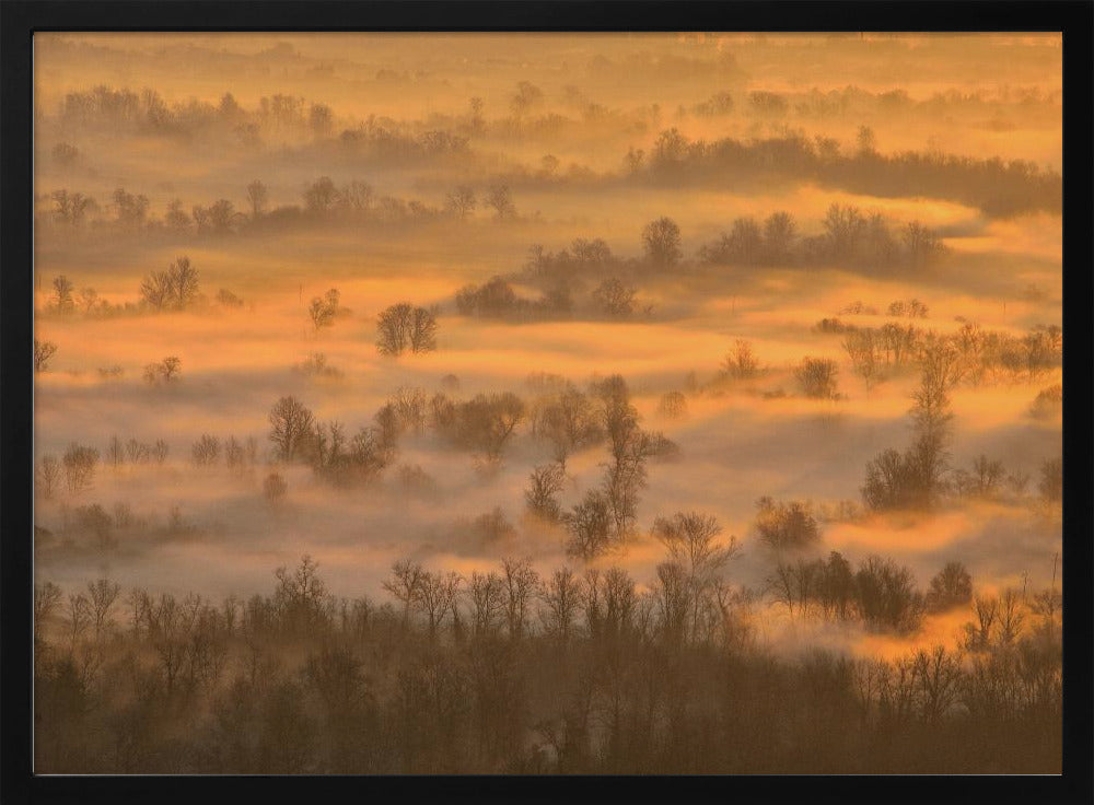 Morning mists Poster