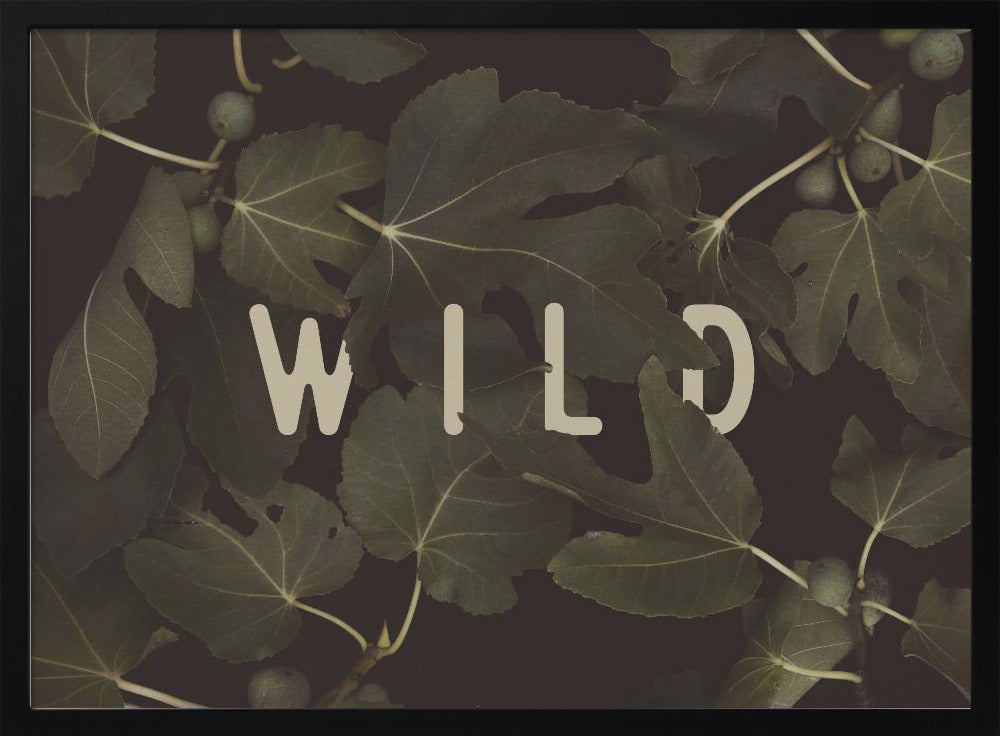 Wild Nº1 Poster