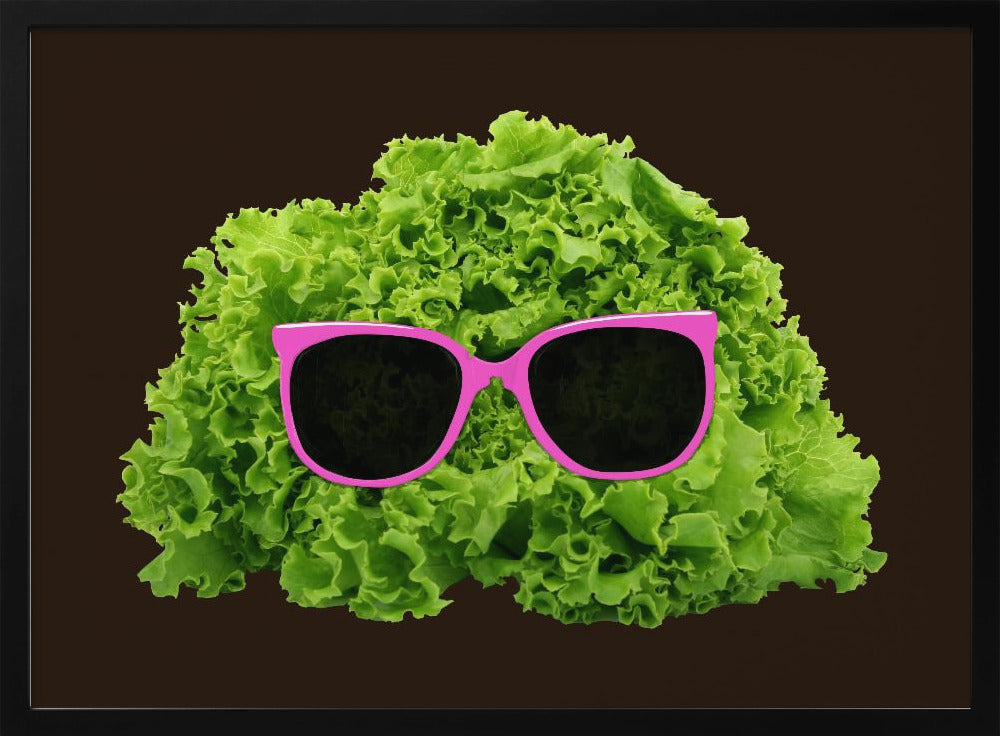 Mr Salad Poster