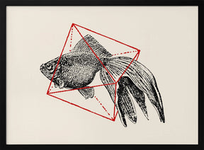 Fish In Geometrics Nº3 Poster