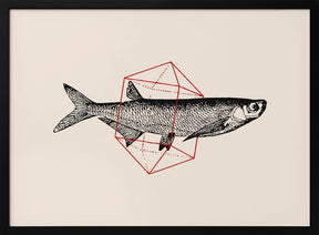 Fish In Geometrics Nº2 Poster