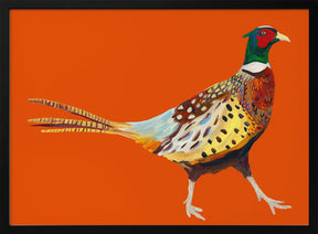 Strutting Pheasant On Orange Poster