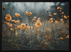 Orange Poppy Poster