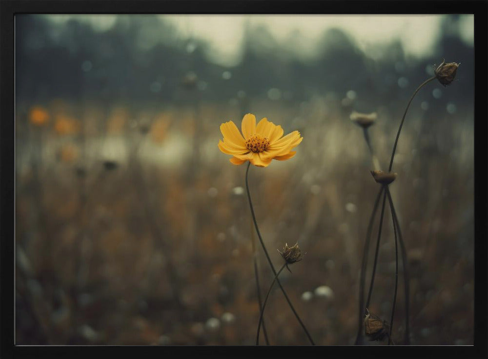 Yellow Flower Poster