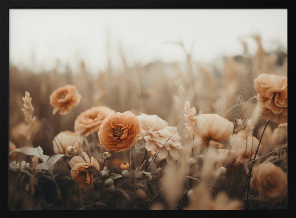 Orange Flowers Poster