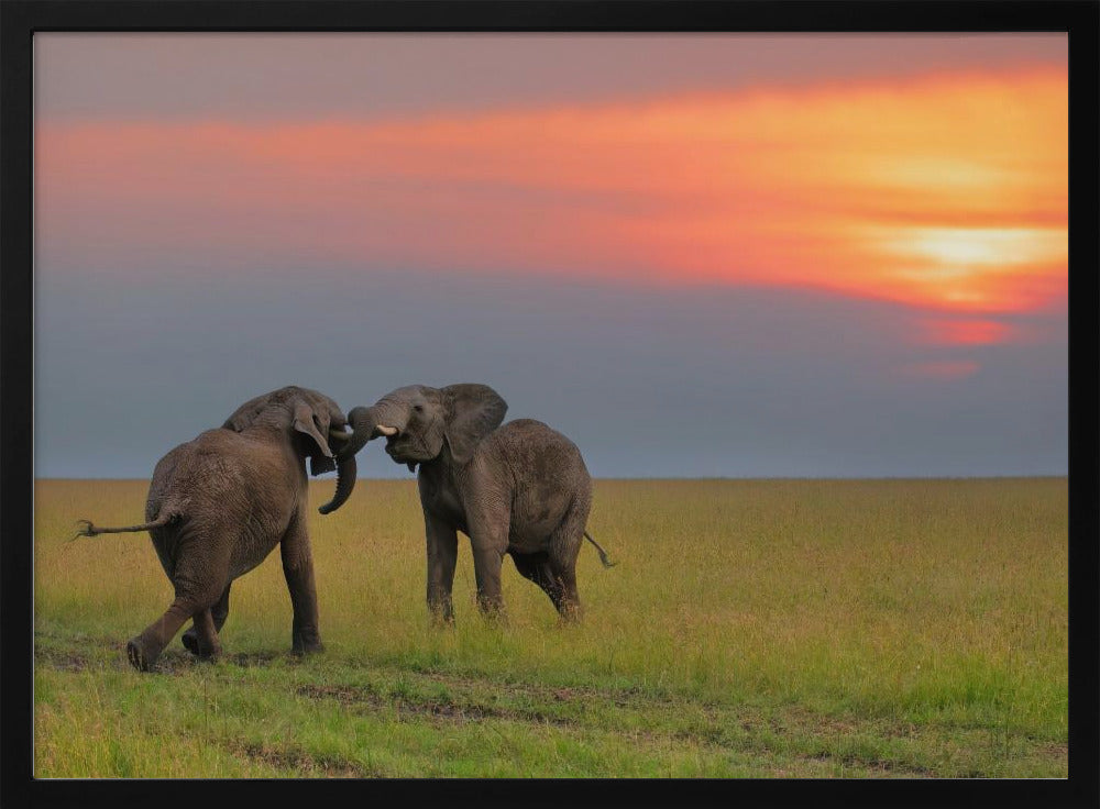 Dancing at The Sunset Poster