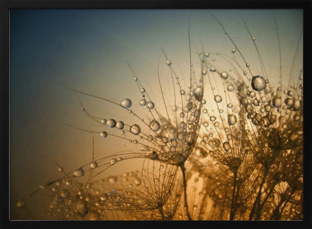 Tender is the Night Poster