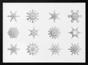 Twelve geometric snowflakes in gray Poster