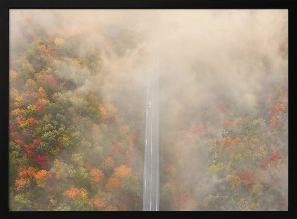 Road through Autumn Forest Poster