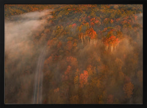 Into the Fog Poster