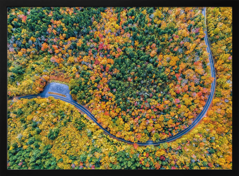 The Road in The Mountain Poster