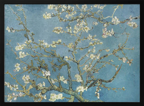 Vincent Van Gogh's Almond Blossom (1890) Poster