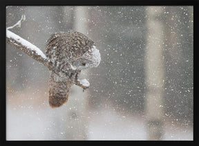 Huntting in The Snow Poster