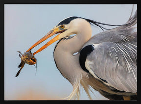 Catching Poster