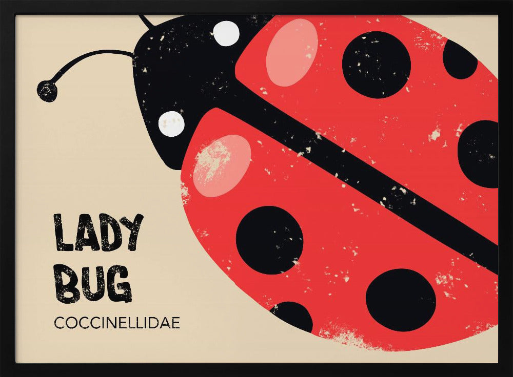 Lady Bug Poster