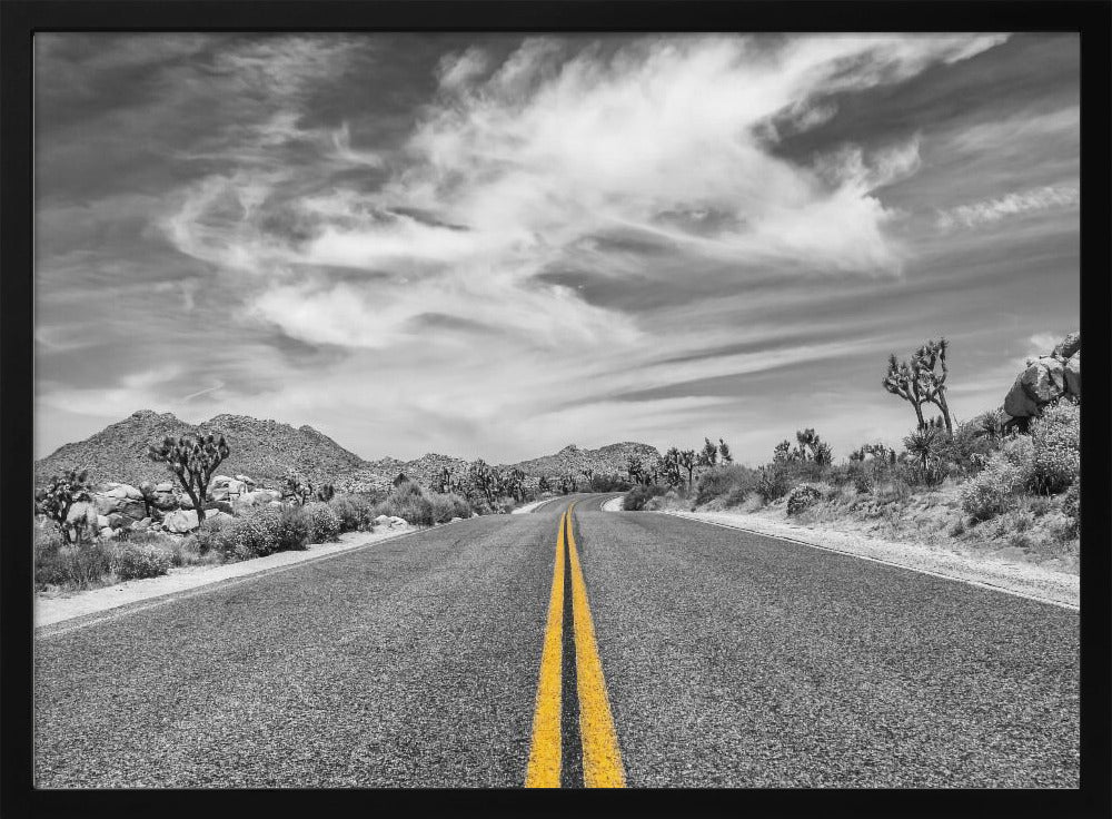 Park Boulevard, Joshua Tree National Park Poster