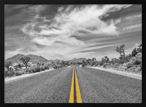 Park Boulevard, Joshua Tree National Park Poster