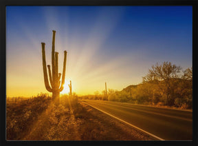 SAGUARO NATIONAL PARK Setting Sun Poster