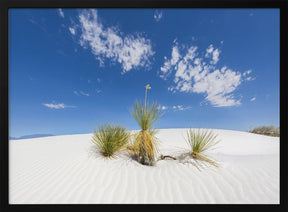 White Sands Impression Poster