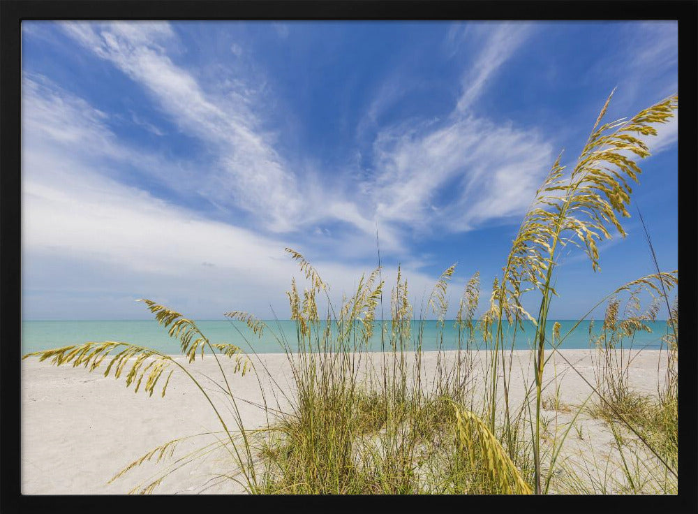 Heavenly calmness on the beach Poster